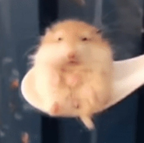 scminim100